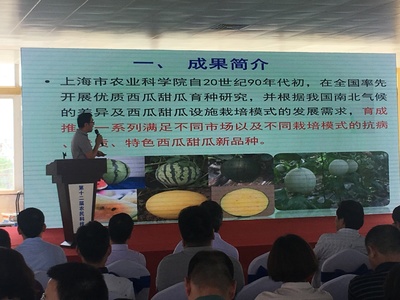 浦東第十二屆農(nóng)民科技節(jié)開(kāi)幕，初夏時(shí)節(jié)聚焦農(nóng)業(yè)信息咨詢